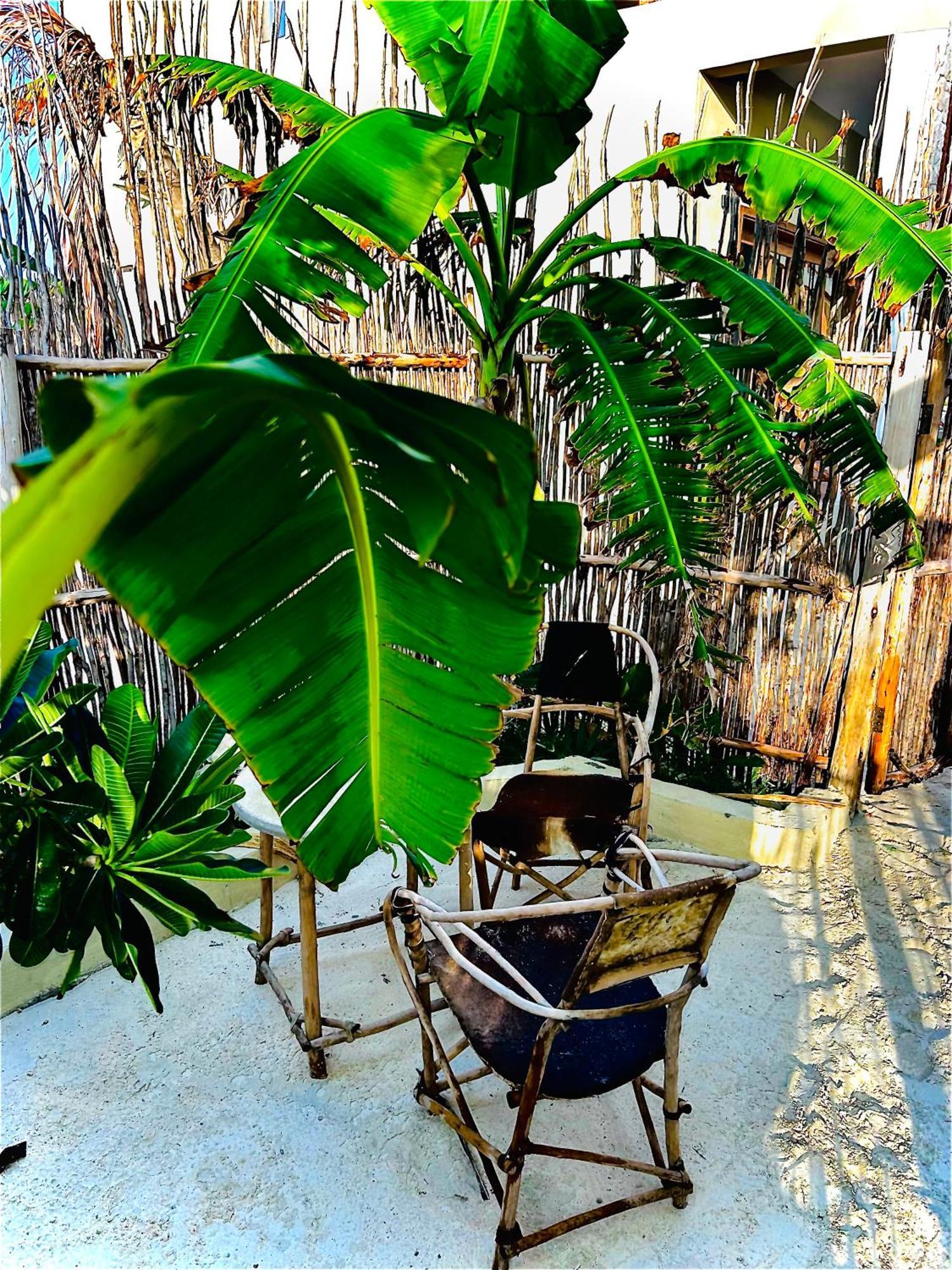 Zanzi Soul Luxury Boutique Hotel Jambiani  Exterior photo